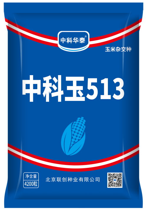 中科玉513